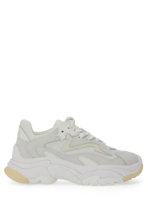 Addict" Sneakers