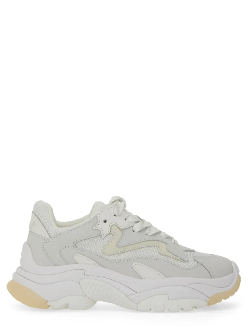 Addict" Sneakers