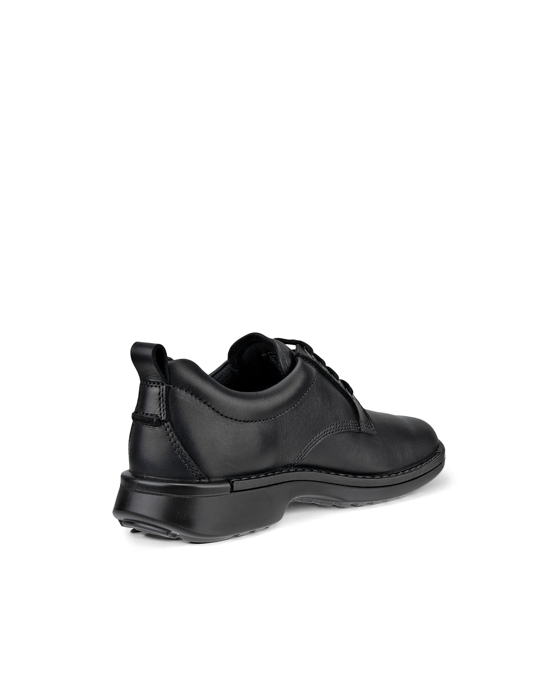ECCO Fusion