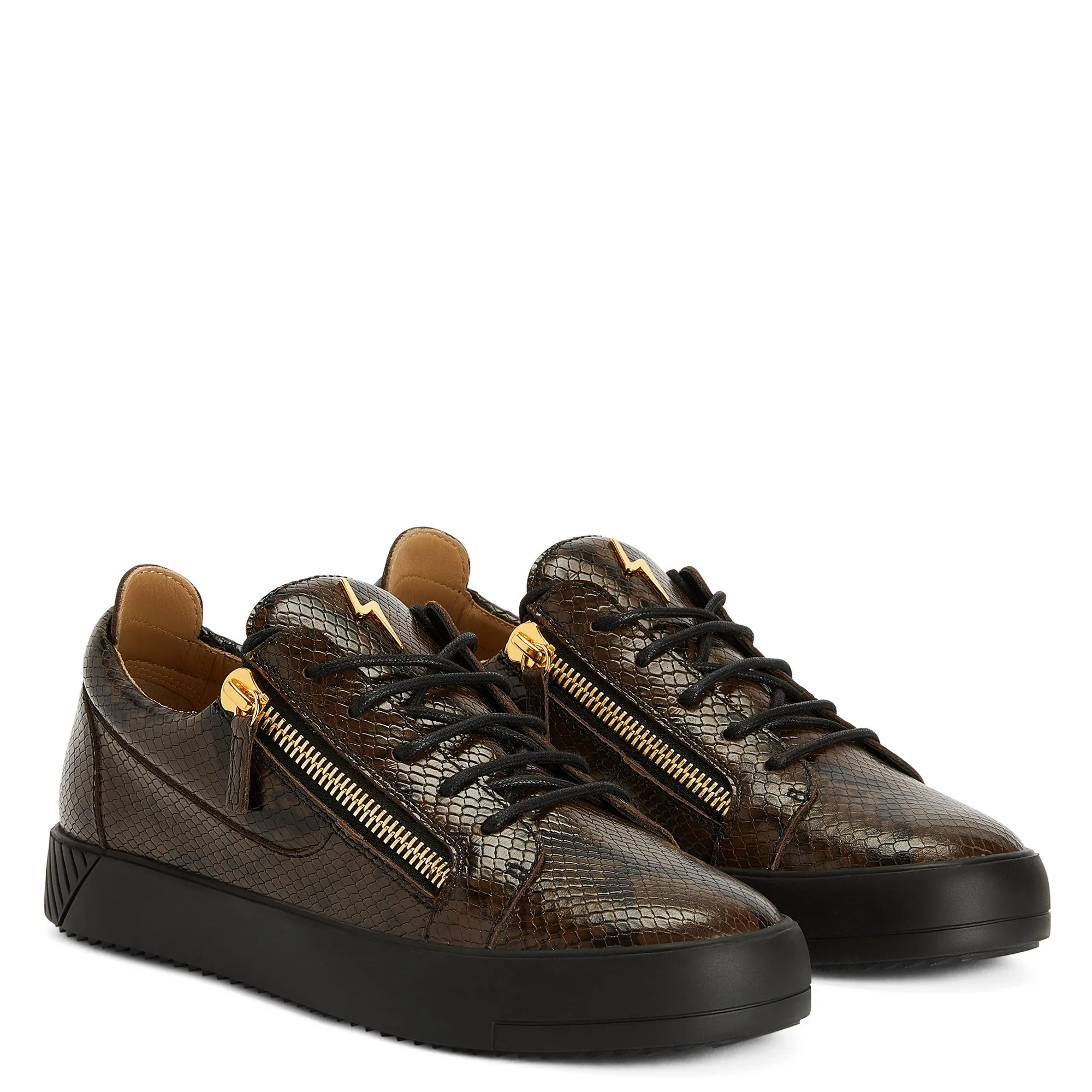 Giuseppe Zanotti Frankie