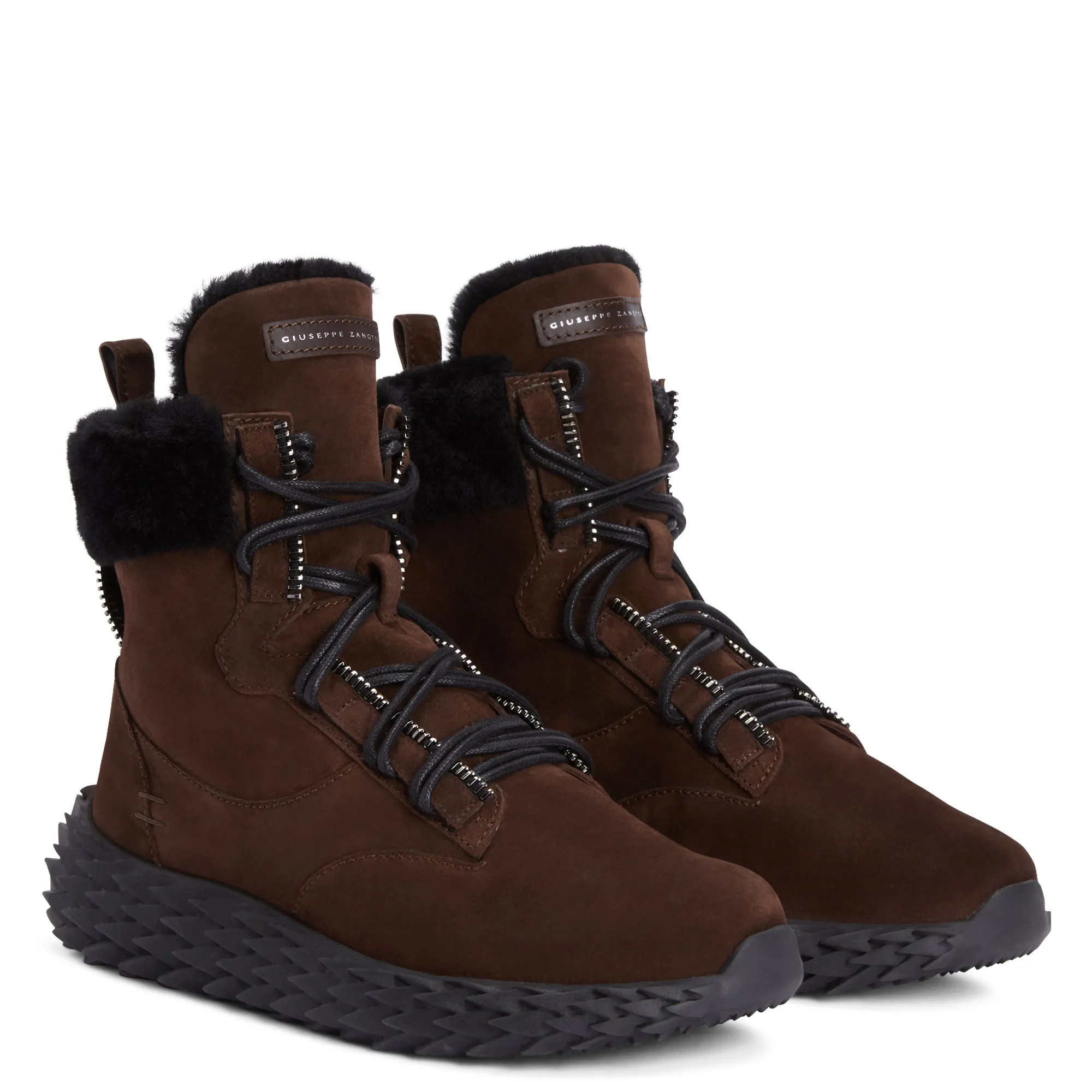 Giuseppe Zanotti Urchin