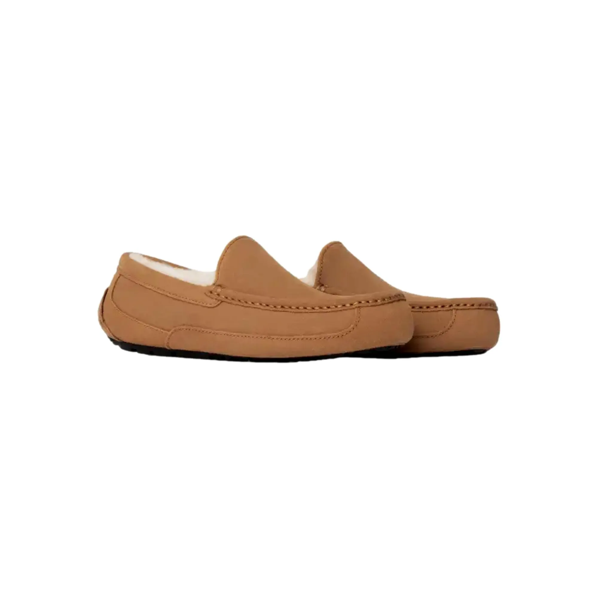 UGG Ascot Chestnut  1101110-CHE Men's