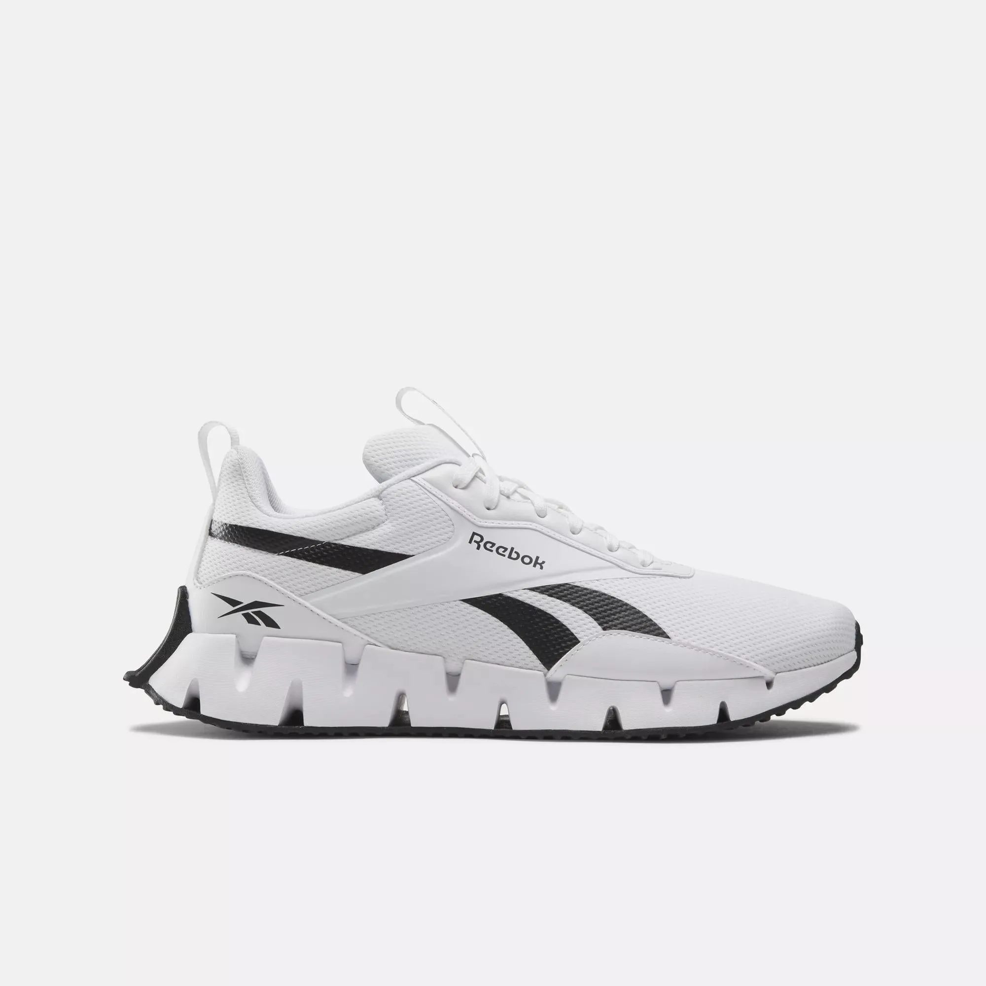 Zig Dynamica STR Shoes