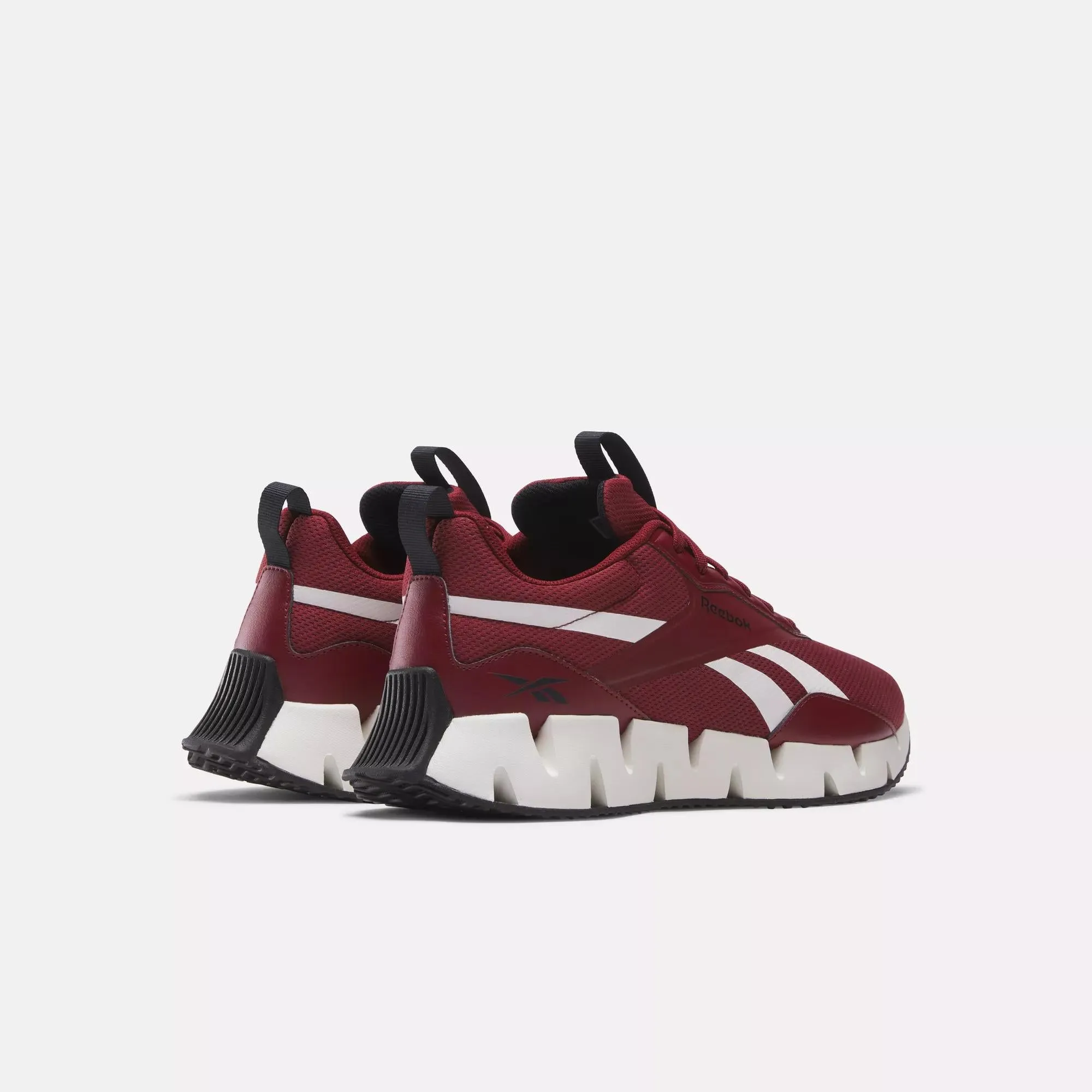 Zig Dynamica STR Shoes