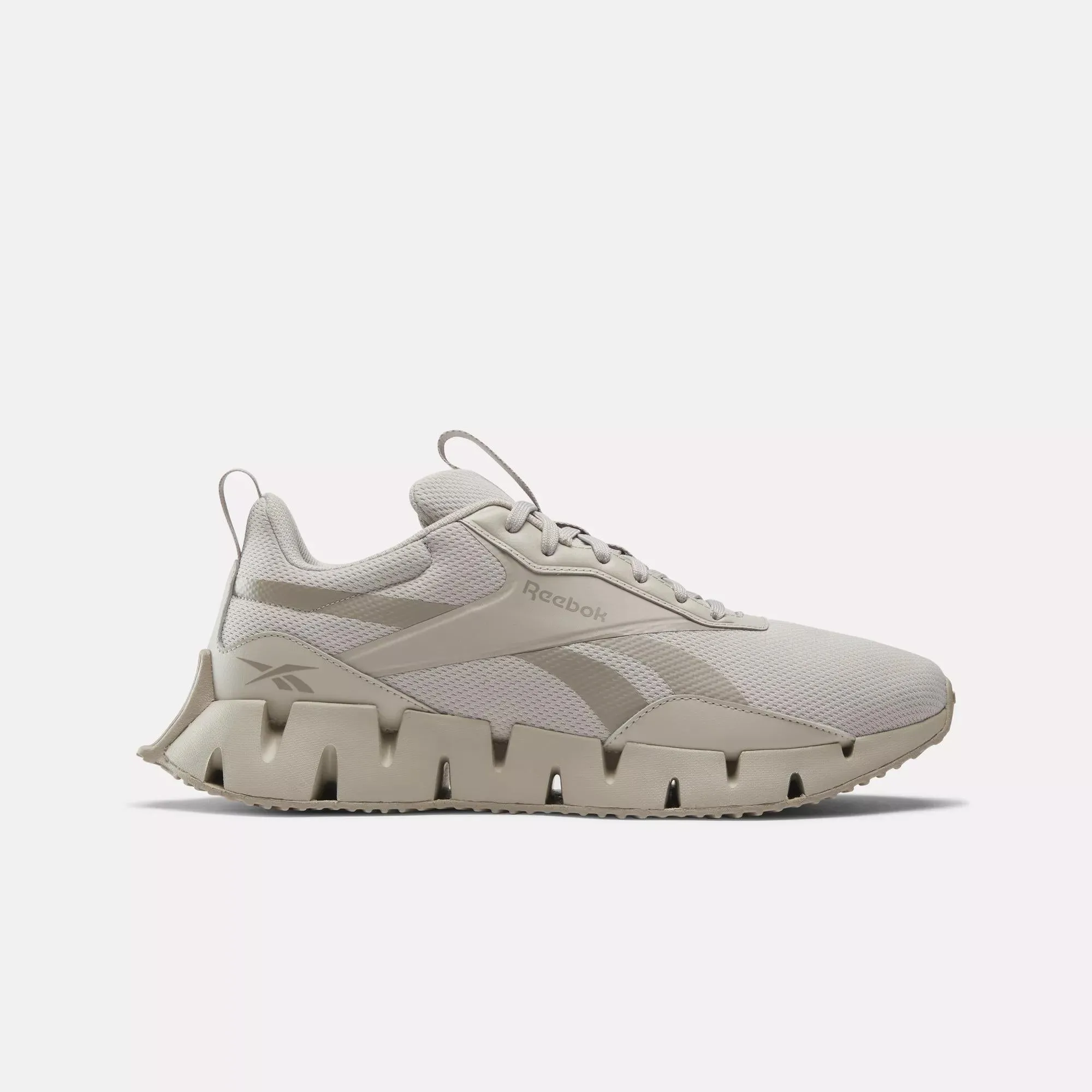 Zig Dynamica STR Shoes