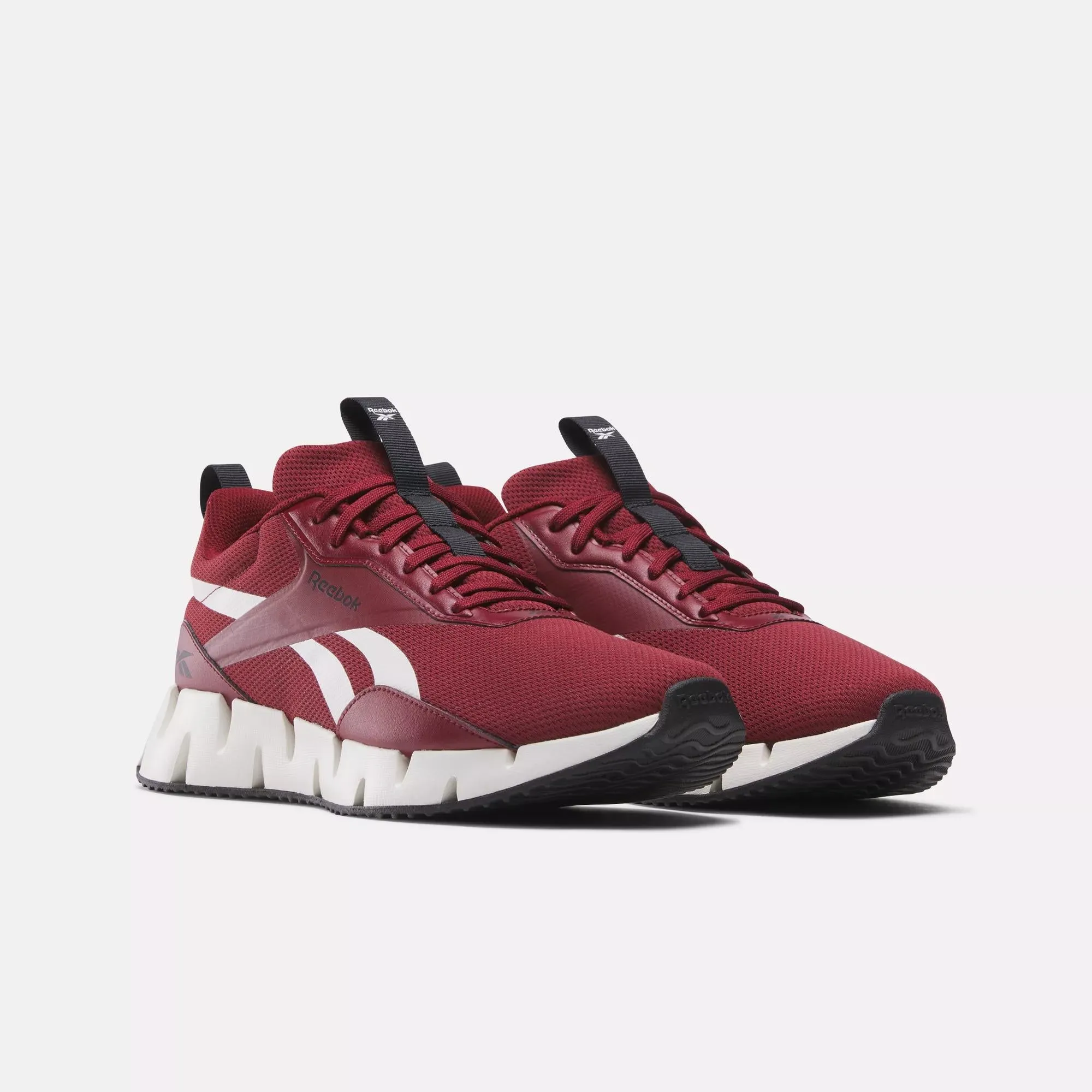 Zig Dynamica STR Shoes